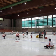 20170901_140732.jpg